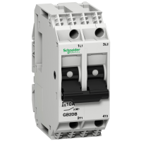 Automatas 2P 4A 3kA valdymo grandinėms GB2 TeSys - SCHNEIDER ELECTRIC
