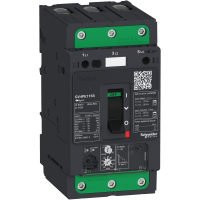 Apsauga variklio 115A 55kW GV4PE TeSys - SCHNEIDER ELECTRIC