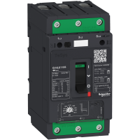 Apsauga variklio 80A 37kW GV4L TeSys - SCHNEIDER ELECTRIC