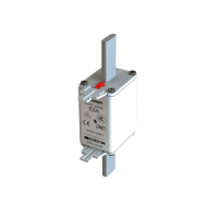 Saugiklis 63A 120kA 500V AC gL/gG NH02 - EATON