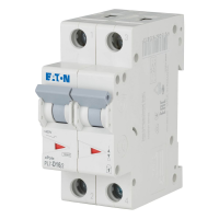 Automatas 2P 16A D 10kA PL7-D16/2 - EATON