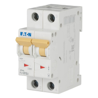 Automatas 2P 13A D 10kA PL7-D13/2 - EATON