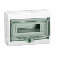 Skydelis v/t 12 (1x12) modulių IP65 su PE/N gnybtais skaidrios durys Mureva - SCHNEIDER ELECTRIC