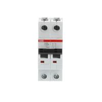Automatas 2P 100A K 6kA S202-C100 - ABB