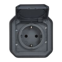 Lizdas v/t SCHUKO su dangteliu IP55 užspaudžiami kontaktai antracito spalvos 16A 250V Plexo - LEGRAND