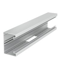 T- sujungimas simetriškas 70x110x500 Aliuminis anoduotas GA-ST70110EL - OBO BETTERMANN (pavadinimas tikslinamas)
