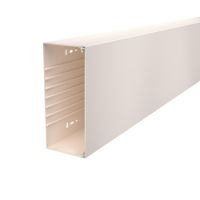 Kabelinis kanalas perforuotu dugnu 100x230x2000 Polivinilo chloridas kreminė RAL 9001 WDK100230CW - OBO BETTERMANN (pavadinimas tikslinamas)