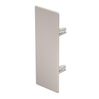 Galinis dangtelis 60x170mm Polivinilo chloridas kreminė RAL 9001 WDK HE60170CW - OBO BETTERMANN (pavadinimas tikslinamas)