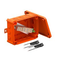 Paskirstymo dėžutė funkc. palaikymui 190x150x77 Polipropilenas pastelinė oranžinė RAL 2003 T160ED 10A2F - OBO BETTERMANN (pavadinimas tikslinamas)