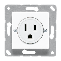 US-NEMA socket - JUNG (pavadinimas tikslinamas)