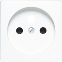 Cover for socket, French/Belgian system - JUNG (pavadinimas tikslinamas)