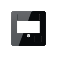 Centre plate for USB - JUNG (pavadinimas tikslinamas)