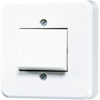 1-gang switch 1 A 24 V AC/DC - JUNG (pavadinimas tikslinamas)