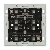 Radio push-button module 3-gang - JUNG (pavadinimas tikslinamas)