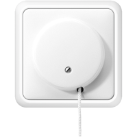 Pull cord switch - JUNG (pavadinimas tikslinamas)