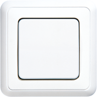 1-gang rocker for switch and push-button - JUNG (pavadinimas tikslinamas)