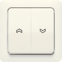 2-gang rocker for blind switch and blind - JUNG (pavadinimas tikslinamas)