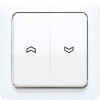 2-gang rocker for blind switch and blind - JUNG (pavadinimas tikslinamas)