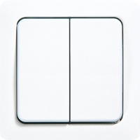 2-gang rocker for switch and push-button - JUNG (pavadinimas tikslinamas)