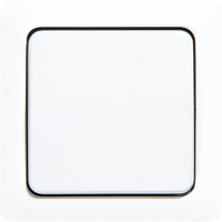 1-gang rocker for switch and push-button - JUNG (pavadinimas tikslinamas)