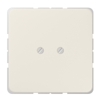 Blank centre plate (screw fixing) - JUNG (pavadinimas tikslinamas)