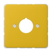 Centre plate for commanding appliance - JUNG (pavadinimas tikslinamas)