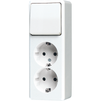 Combination 2-gang SCHUKO® socket - JUNG (pavadinimas tikslinamas)