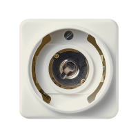 Pilot light (without cap) - JUNG (pavadinimas tikslinamas)