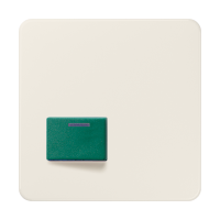Centre plate for Ackermann - JUNG (pavadinimas tikslinamas)
