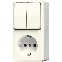 Combination SCHUKO® socket / 2-gang - JUNG (pavadinimas tikslinamas)