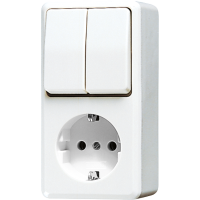 Combination SCHUKO® socket / 2-gang - JUNG (pavadinimas tikslinamas)