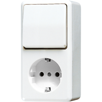 Combination SCHUKO® socket / 1-gang - JUNG (pavadinimas tikslinamas)
