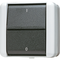 1-gang switch 10 AX / 250 V ~ - JUNG (pavadinimas tikslinamas)