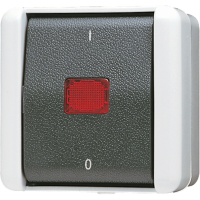 1-gang switch 16 AX / 400 V ~ with ind. - JUNG (pavadinimas tikslinamas)