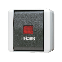 1-gang switch "Heizung" 10 AX / 250 V ~ - JUNG (pavadinimas tikslinamas)