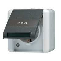 SCHUKO® socket with hinged lid and insc. - JUNG (pavadinimas tikslinamas)