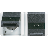 2-gang SCHUKO® socket separ. label field - JUNG (pavadinimas tikslinamas)