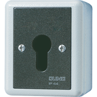 Key switch/push-button - JUNG (pavadinimas tikslinamas)