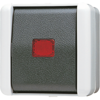 1-gang push-button 1-pole 10 AX / 250 V - JUNG (pavadinimas tikslinamas)