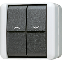 2-gang blind switch/push-button 10 AX - JUNG (pavadinimas tikslinamas)