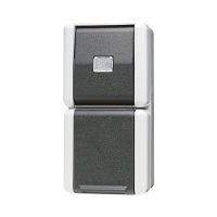 Combination SCHUKO® socket / push-button - JUNG (pavadinimas tikslinamas)