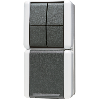 Combination SCHUKO® socket / 2-gang - JUNG (pavadinimas tikslinamas)