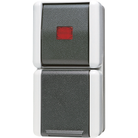 Combination SCHUKO® socket / 1-gang - JUNG (pavadinimas tikslinamas)