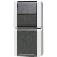 Combination SCHUKO® socket / 1-gang - JUNG (pavadinimas tikslinamas)