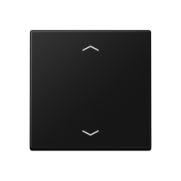Rocker for push-button 1-gang, arrows - JUNG (pavadinimas tikslinamas)