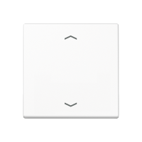 Rocker for push-button 1-gang, arrows - JUNG (pavadinimas tikslinamas)