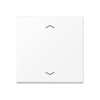 Rocker for push-button 1-gang, arrows - JUNG (pavadinimas tikslinamas)