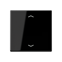 Rocker for push-button 1-gang, arrows - JUNG (pavadinimas tikslinamas)