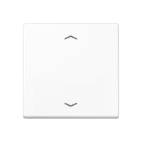 Rocker for push-button 1-gang, arrows - JUNG (pavadinimas tikslinamas)