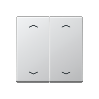 Rocker for push-button 2-gang, arrows - JUNG (pavadinimas tikslinamas)